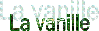 La vanille